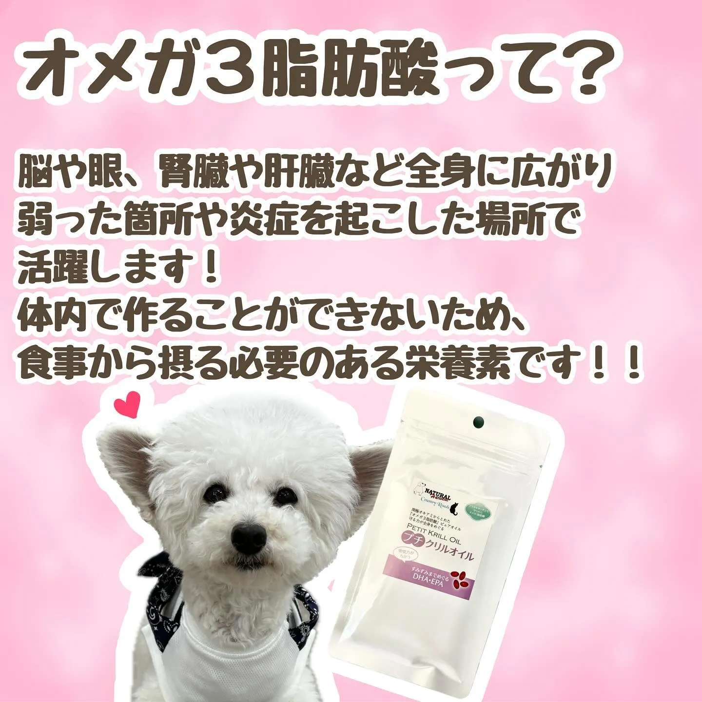 オススメサプリメント