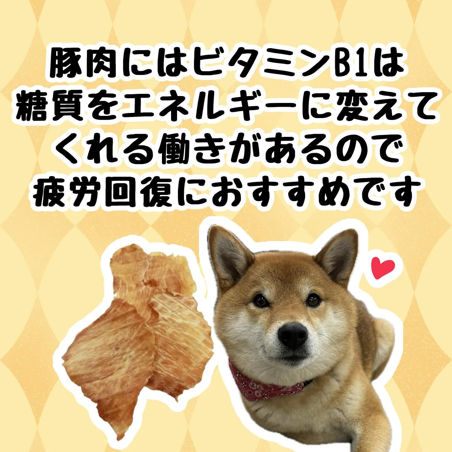 わんこのおやつ🐾