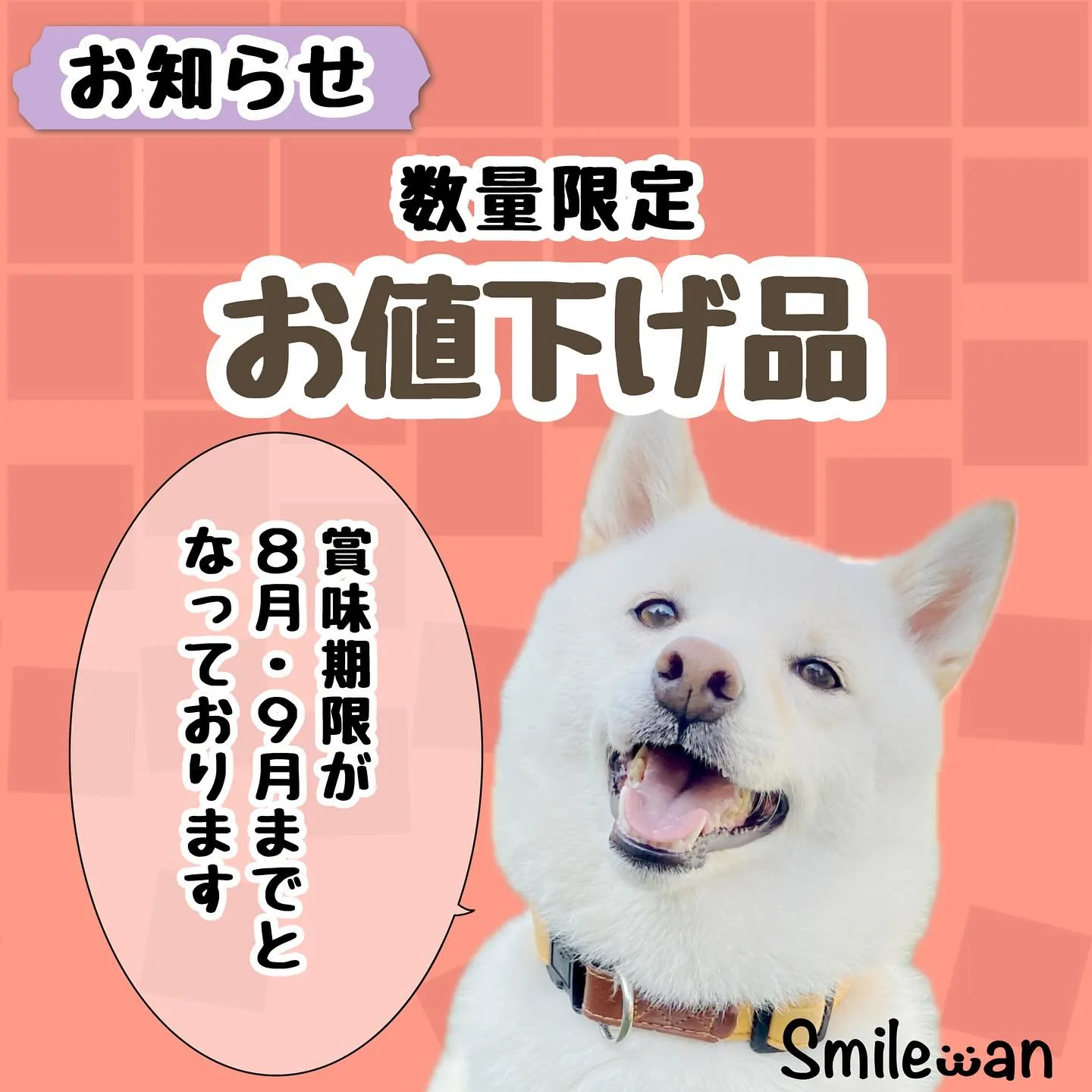 【スマイルわんshop お値下げ品】