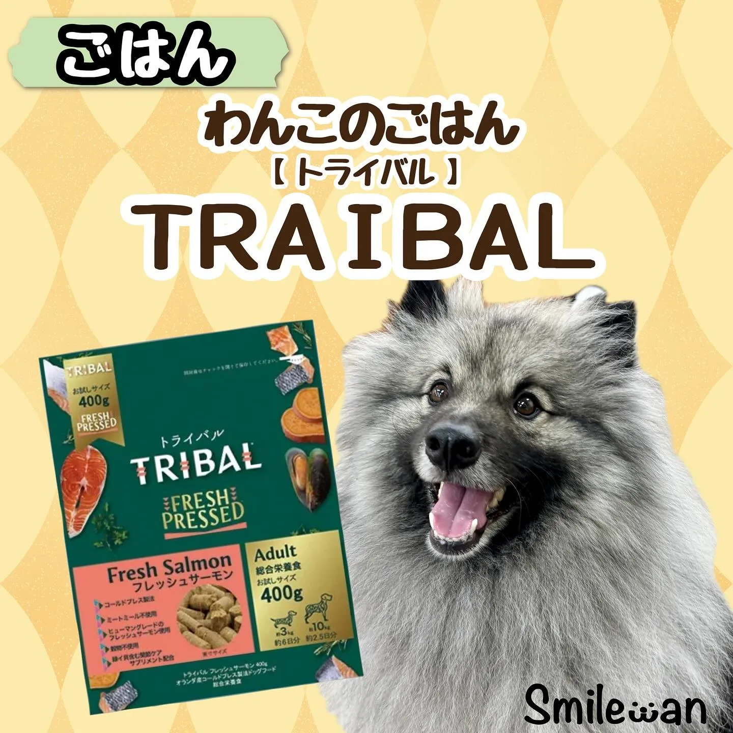 今回はドッグフード のご紹介です✨