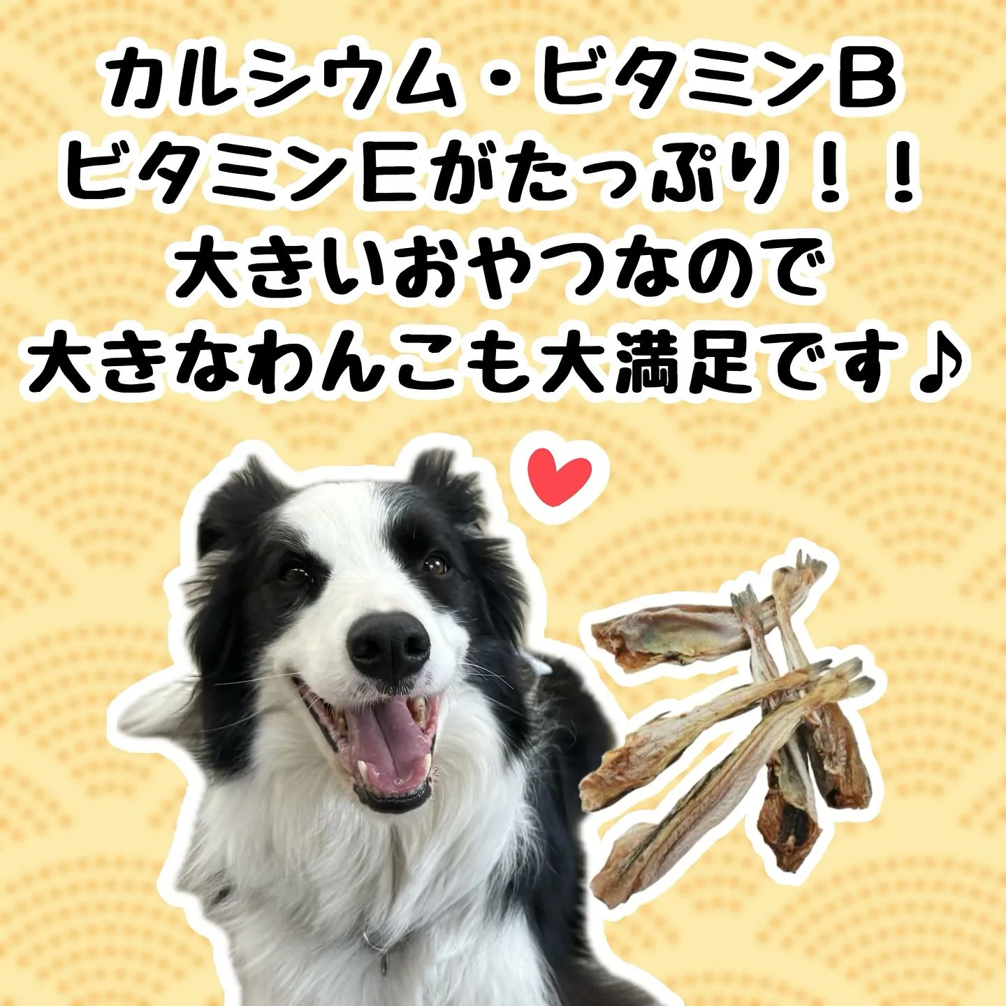 お魚シリーズおやつ🐾