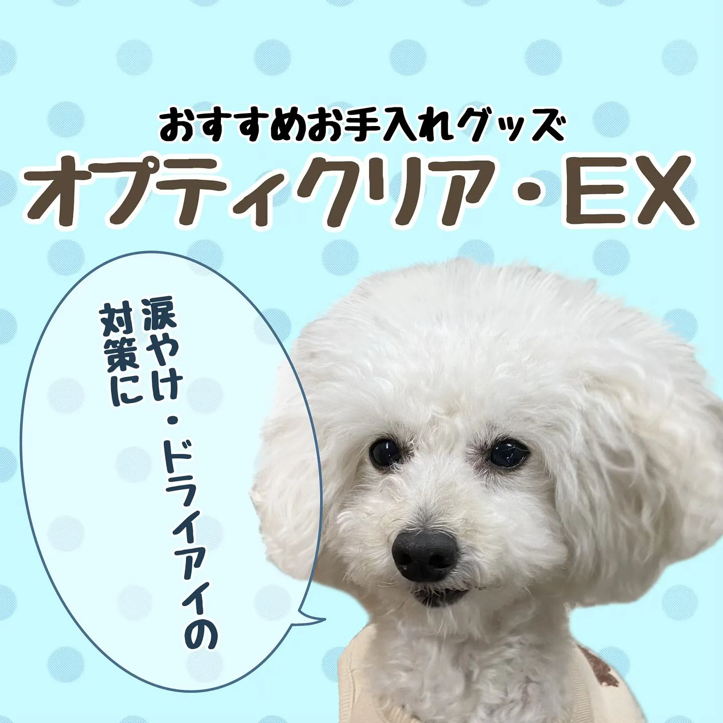 お手入れグッズ✨