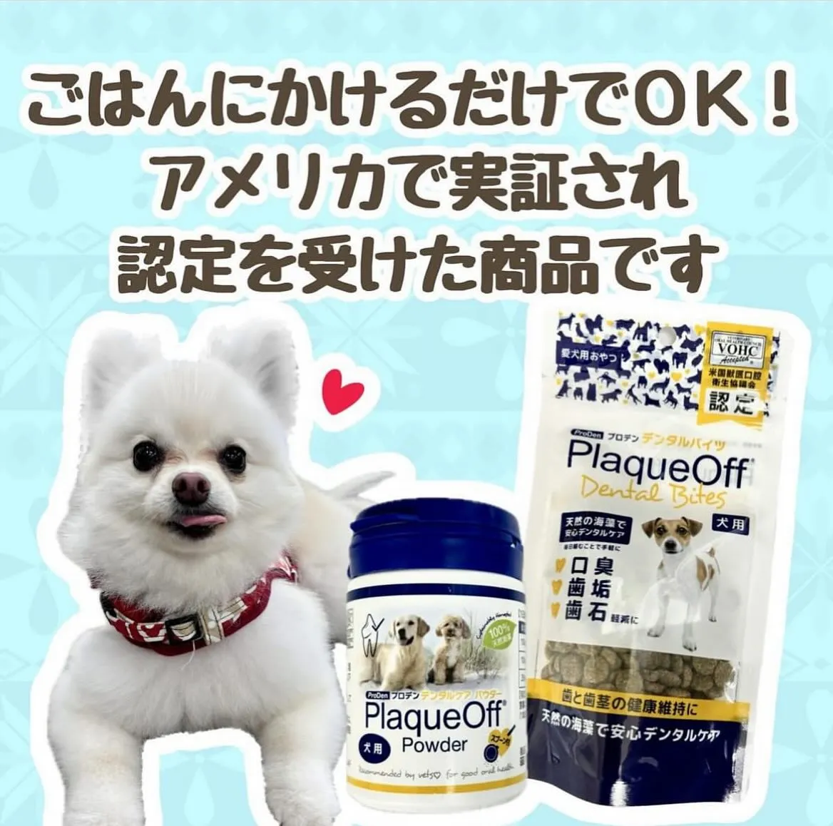 デンタルケアシリーズ🦷🪥