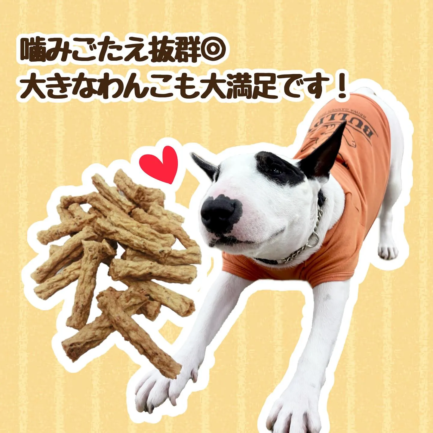 わんこのおやつ🐾