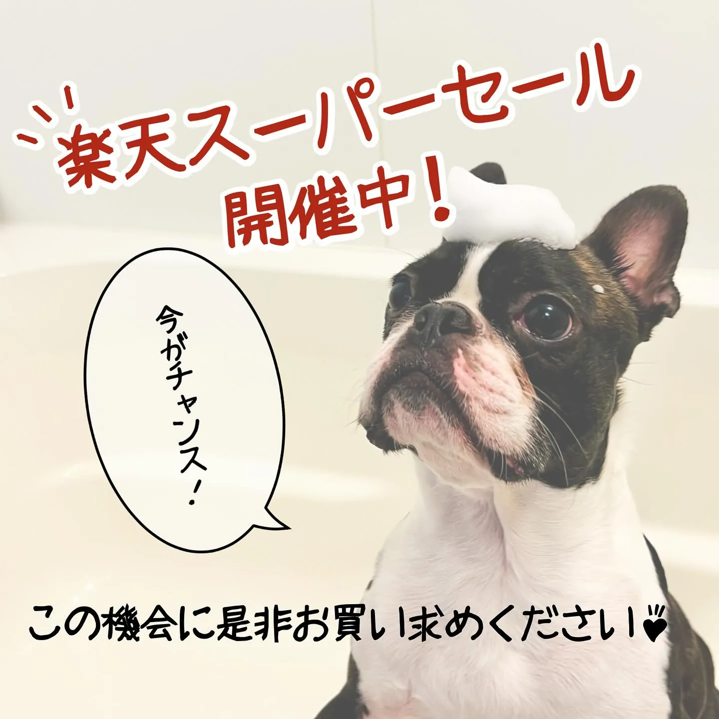 泡になって出てくるシャワーヘッド🫧