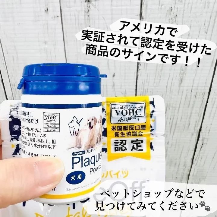 デンタルケアシリーズ🦷🪥