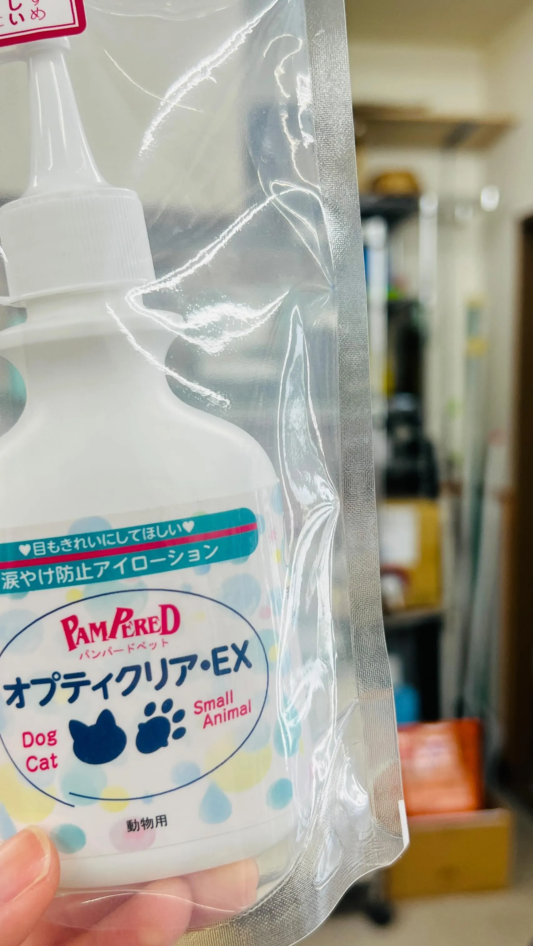 わんこのお手入れグッズ🐾