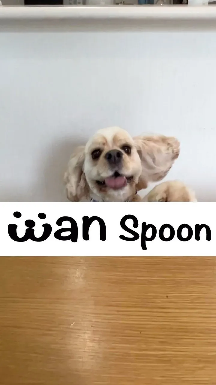 おすすめグッズ紹介✨