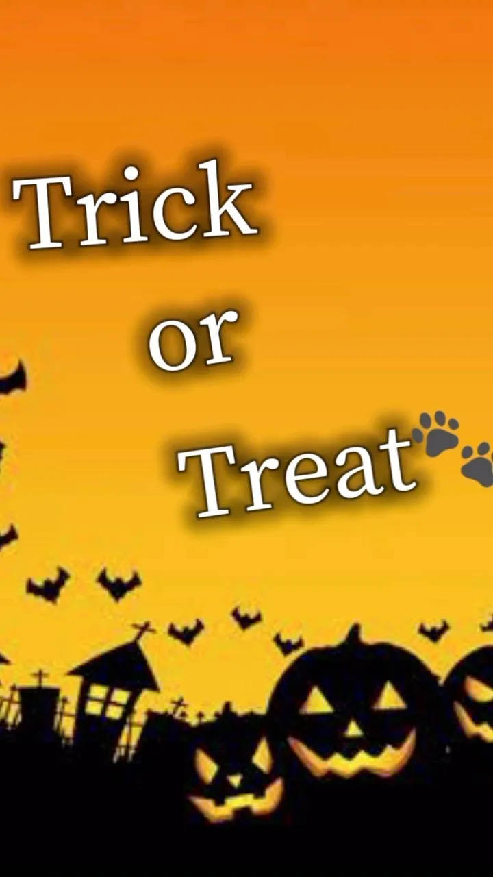 Happy Halloween🎃🐾