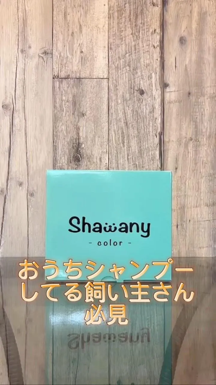 おうちシャンプーしてる飼い主さん必見👀