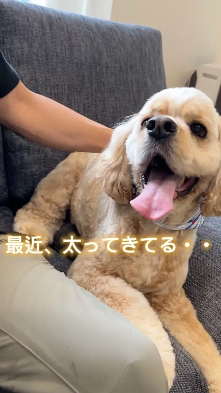 おすすめグッズ紹介✨