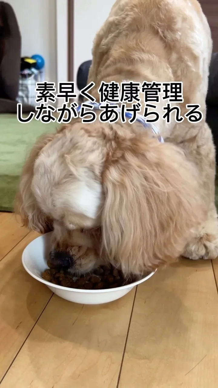 おすすめグッズ紹介✨