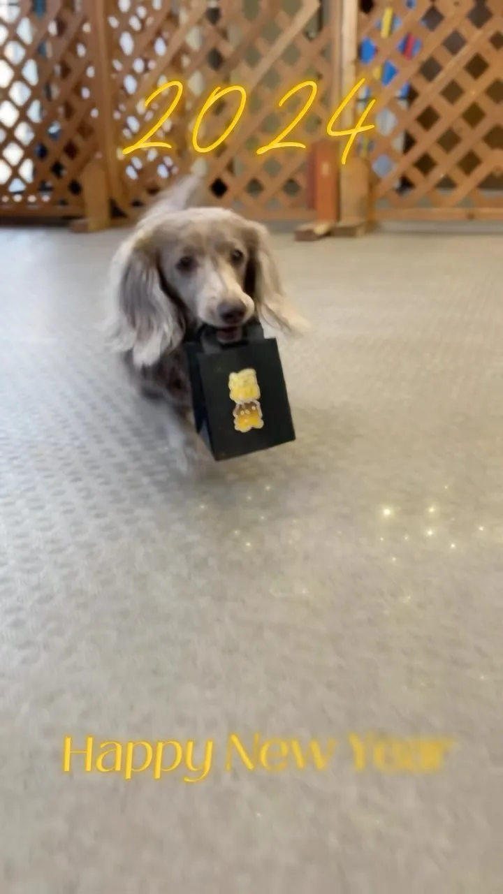 今年も福袋を販売します🎍✨