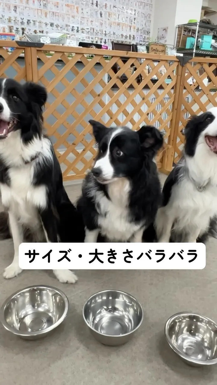 おすすめグッズ紹介✨