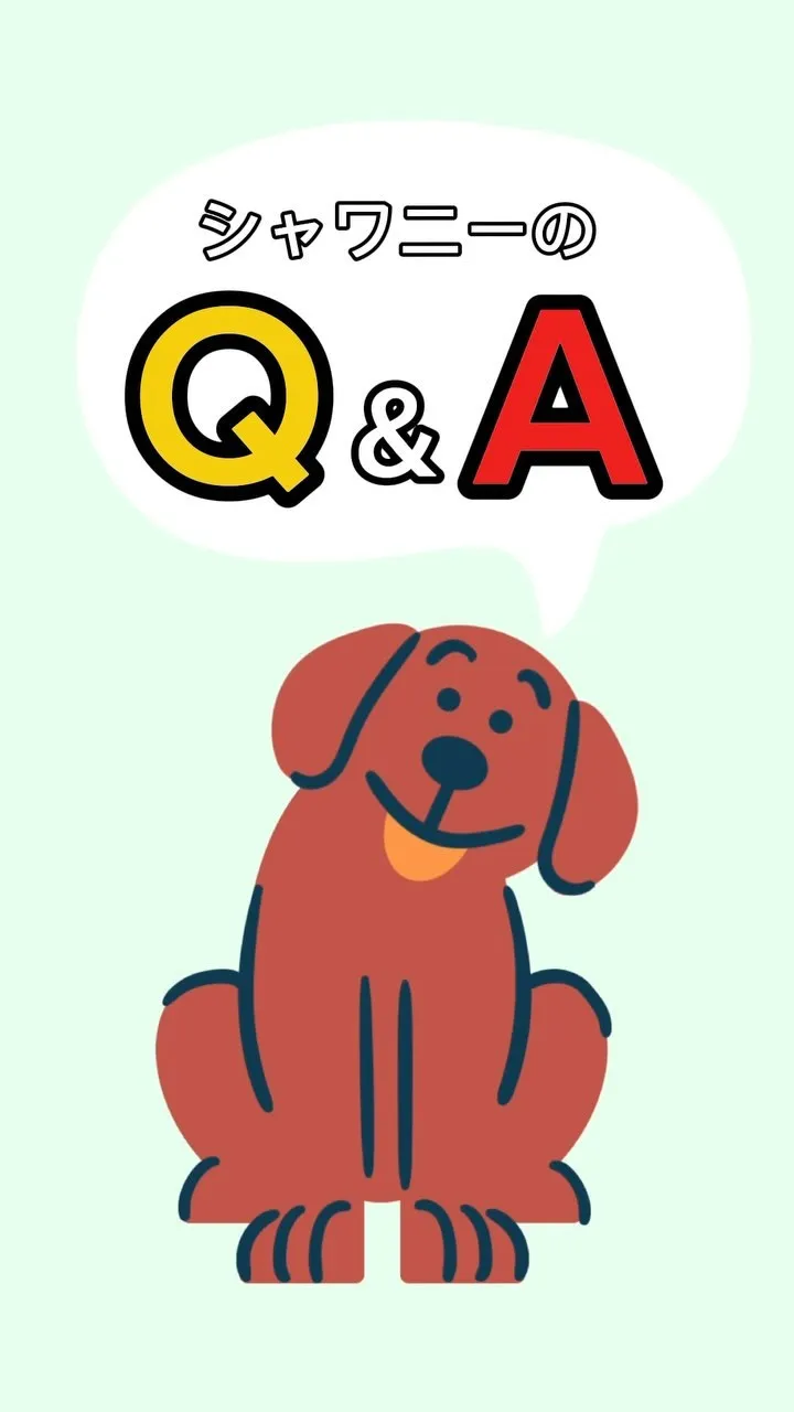 【犬のお風呂グッズ】