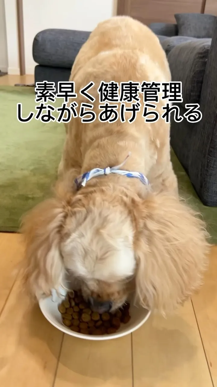 おすすめグッズ紹介✨